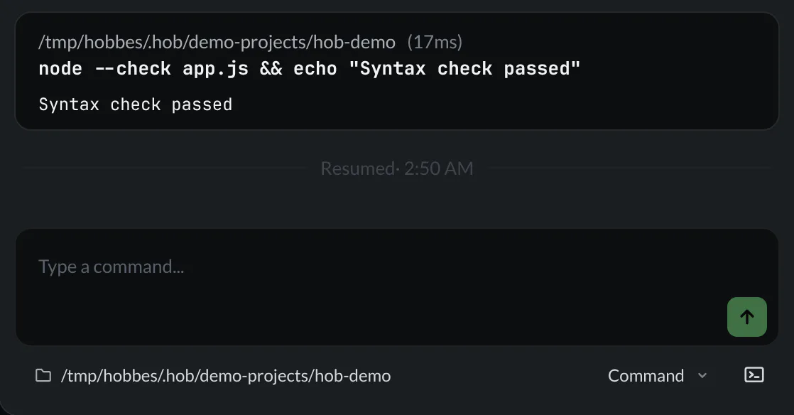 A completed guestbook syntax check above the terminal’s Resumed marker and empty command field